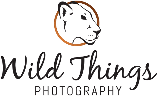 Wildlife Photography for Home, Office and Gifts